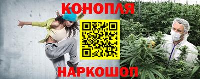 индика Кулебаки