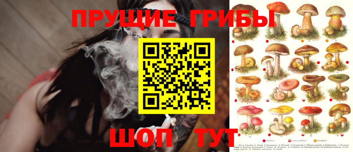 Иваново  Псилоцибиновые грибы MAGIC MUSHROOMS  Вход с VPN 